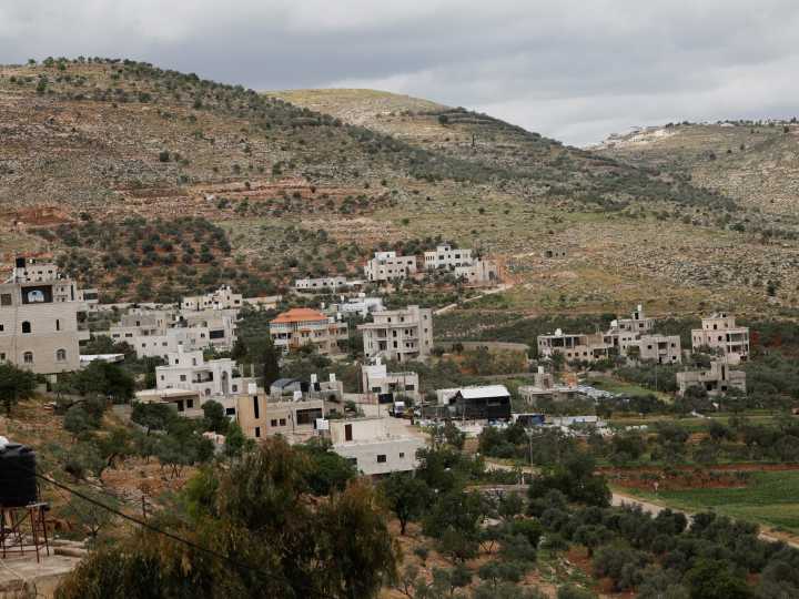 Israeli military uproots thousands of Palestinian olive trees in West Bank