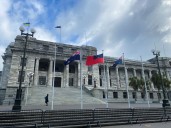 New Zealand politician removed from parliament following comments in Palestinian debate