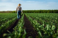 'Hypocrisy': Furious farmers accuse Trump's top ally of 'throwing mud' at them