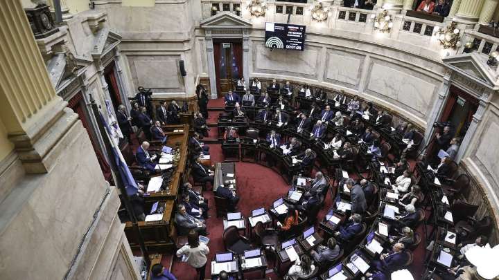 Senado: la oposición avanzó con un proyecto para que pierdan fuerza los DNU de Javier Milei