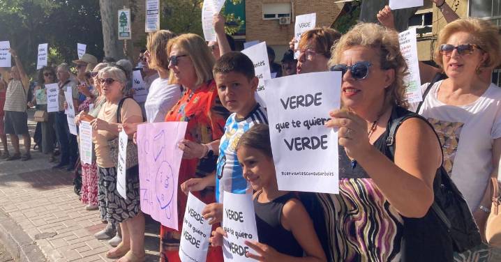 "Verde que te quiero verde": vecinos de la Avenida Cervantes de Granada se movilizan contra un proyecto de obras