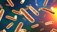 Update: NYC Legionnaires’ Outbreak Grows to 90 Cases; 3 Deaths Reported