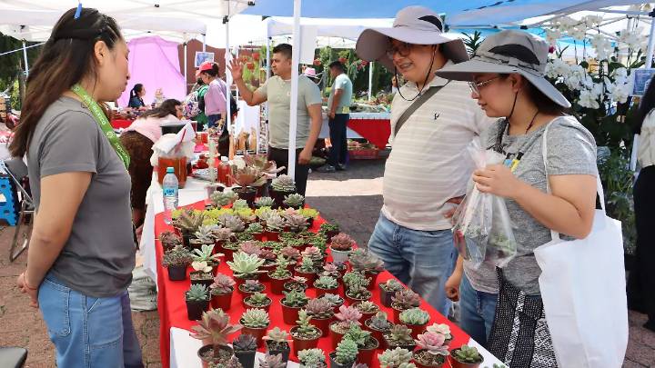 Difunden la importancia ecológica de las cactáceas en Festival de Suculentas de la UATx