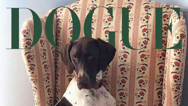 The 2025 Dogue Competition Winner Is Here!