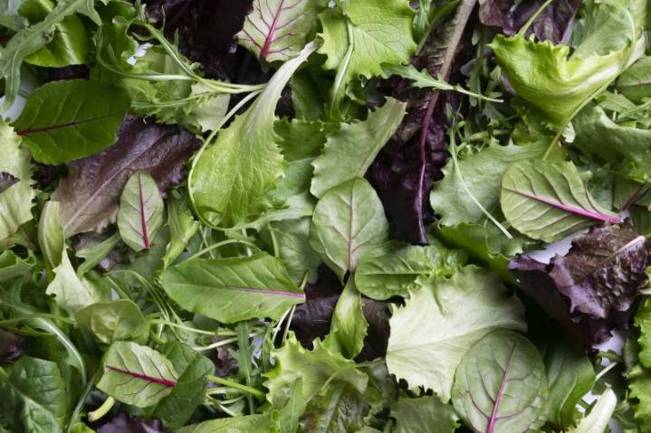 Salad kits sold in 25 states recalled