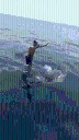 Terrifying moment idiot thrillseeker surfs and dances on top of SHARK - as viewers slam moronic and cruel stunt