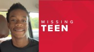 Chesapeake police seek missing 15