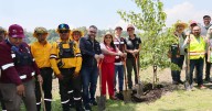 Clara Brugada presenta plan para limpiar y sanear 26 barrancas en CDMX