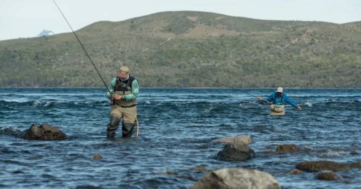 Un pez exótico en el río Limay: la explicación de cómo llegó desde el Atlántico a Neuquén