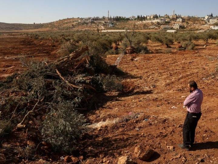Israeli bulldozers uproot hundreds of trees in West Bank village