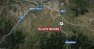 Hiker has close encounter with a bear in Sluice Boxes State Park