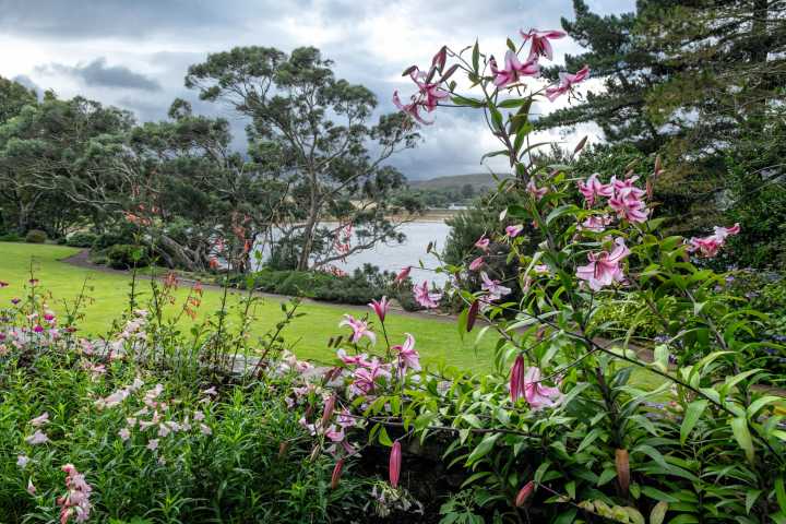 Inverewe: The making of 'The Oasis of the North' in a wind