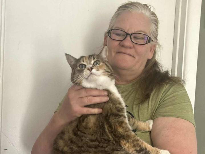 Whisker Warriors launches to rescue, rehome cats across Manitoba