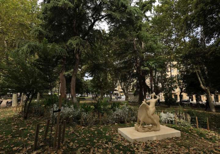El PSOE reclama modificar el plan de plantación para reducir el impacto de las alergias en Salamanca
