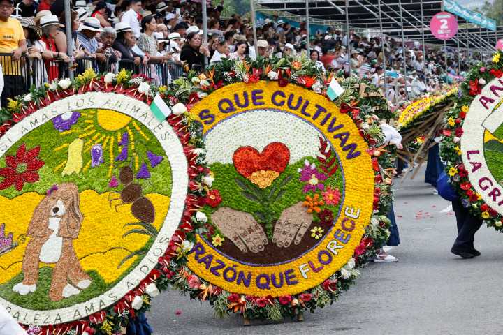Las calles de Medellín se inundan con la belleza de sus flores en el Desfile de Silleteros