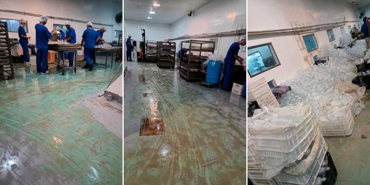 “Había ratas y la gente se descomponía por el calor”: así producían el fentanilo mortal los empleados de Furfaro