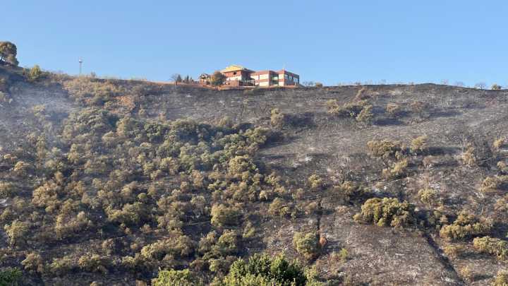 El incendio entre Granada y Cenes de la Vega