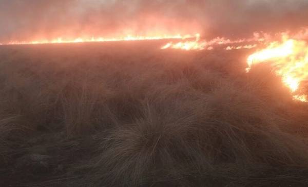Alerta extrema: dos incendios forestales avanzan sin freno en Córdoba