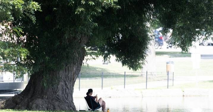 Waterloo Region Record morning update for August 7