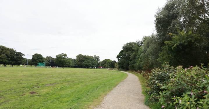 Woman killed by falling branch in park as emergency services race to scene