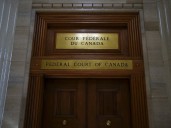 Wife's ADHD cited in reasons for delaying deportation of Indian man