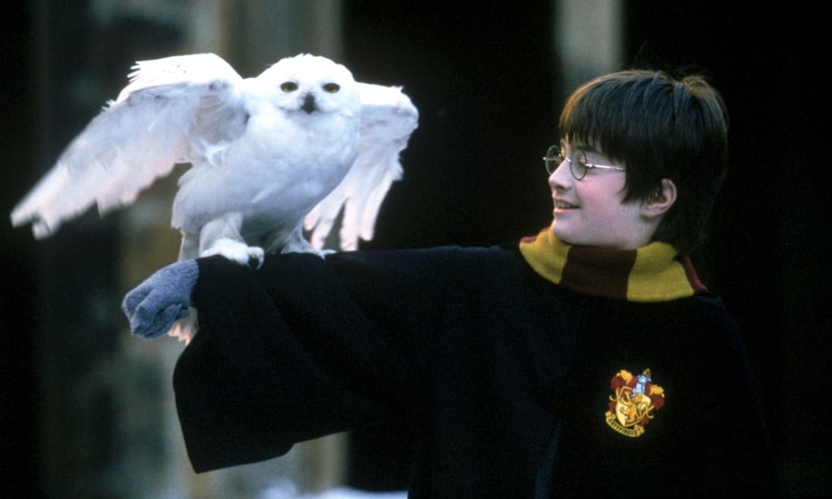 Chris Columbus: 'Home Alone and Harry Potter weren’t meant to be family films'