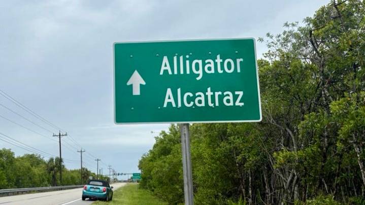 'Alligator Alcatraz' constriction halted by district judge, here's why