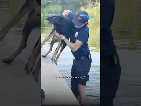 They thought their dog was gone forever. 6 years later, the police called