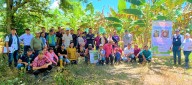 Más de 120 pequeños productores de plátano en Arauca se capacitaron en prevención del Fusarium R4T