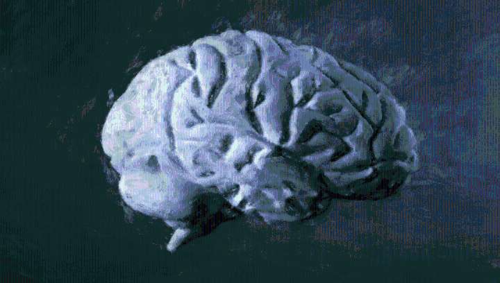 New Biomarker Discovery Reveals Cognitive Behavioral Therapy Causes Measurable Brain Changes, Boosting Gray Matter Volume