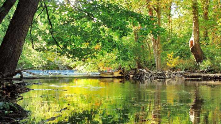 Bird migration walk on Wednesday at Benton Spillway