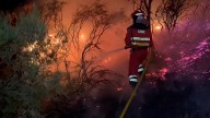 Castilla y León pide ayuda a Galicia ante los graves incendios que registra la comunidad