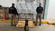 EU presume apoyo de sus perros entrenados en la lucha contra el narco en México