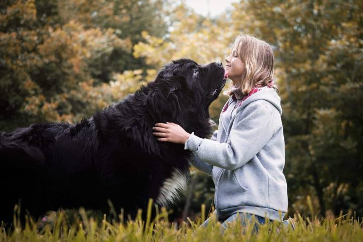 13 Darling Dog Breeds That’ll Never Stop Loving You
