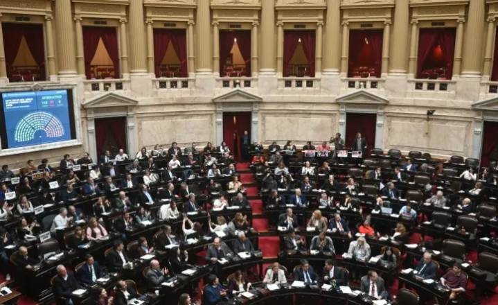 Fuerte revés para el Gobierno: rechazaron en Diputados el veto de Milei a la Emergencia por Discapacidad