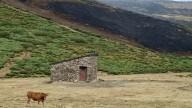 Última hora incendios en España en directo: Noche crítica en Almería y Galicia firma su peor verano desde 2006