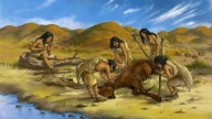 Antiguos homínidos buscaban la materia prima de sus herramientas a kilómetros de distancia: estudio