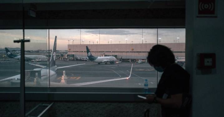 México analiza crear empresa multinacional para convertir sargazo en biocombustible de aviones
