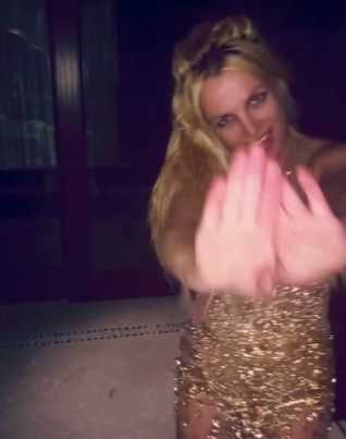 FLOWER POWER: Britney Spears covers nip slips with emojis