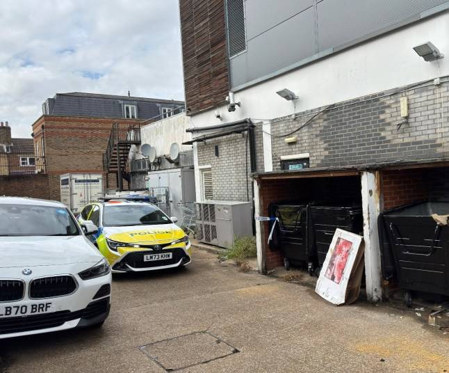 Woman, 29, stabbed to death in own home with murder suspect fighting for life