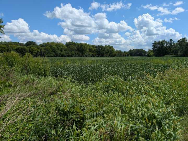 Campton Hills to vote on annexing land for housing project
