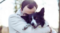 Enfado entre los dueños de los perros en España por lo que van a tener que pagar en 2025