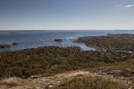 Visitors Skip Acadia and Visit Camden Hills State Park in Maine