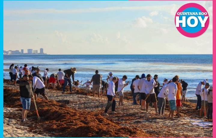 Más de 500 servidores limpian Playa Delfines del sargazo