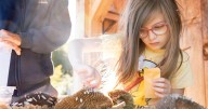Rutland Herald Community News for Aug. 27, 2025.