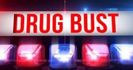 Chattanooga man caught with drugs and stolen gun during search of home