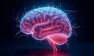 modelo holográfico del cerebro: memoria, percepción y conciencia