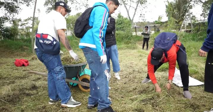 Más de 7.000 evasores del transporte público pagaron comparendos con trabajo comunitario en Bogotá