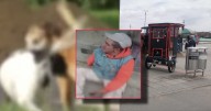 Bicitaxista sin un brazo fue brutalmente atacado por jauría de perros