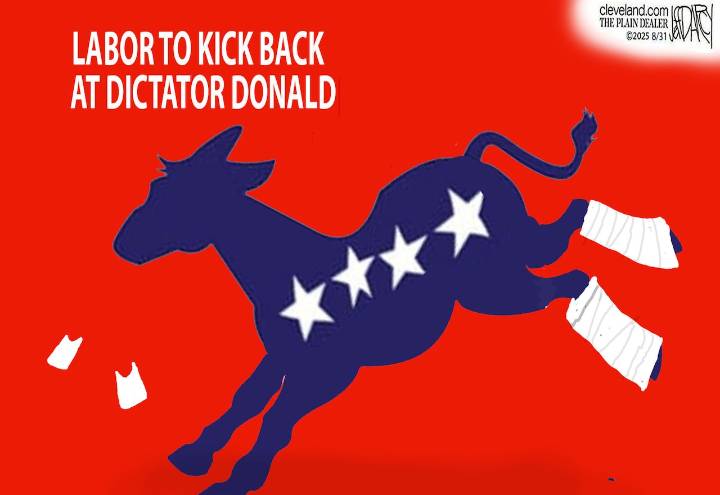 Democratic Party downslide: Darcy cartoon